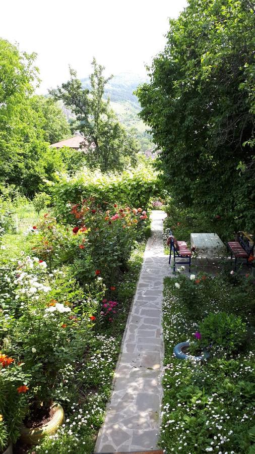 Hotel Mira Goris Εξωτερικό φωτογραφία