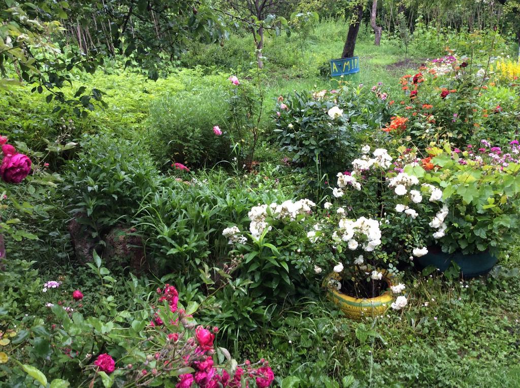 Hotel Mira Goris Εξωτερικό φωτογραφία