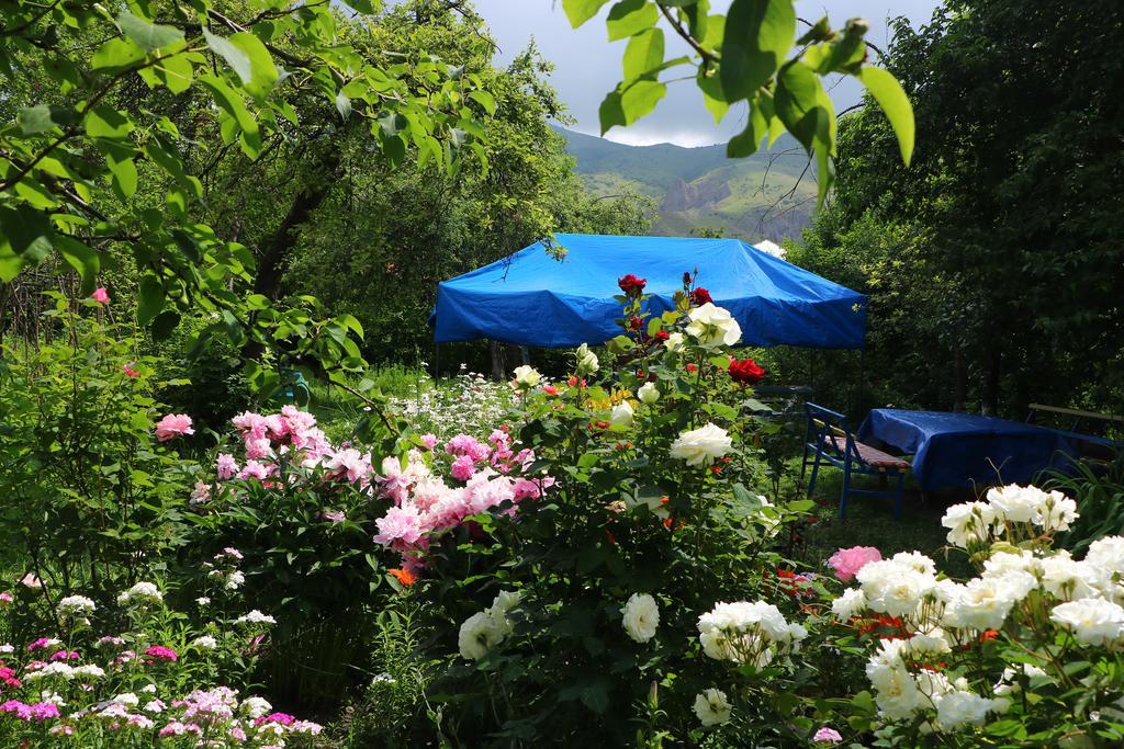 Hotel Mira Goris Εξωτερικό φωτογραφία